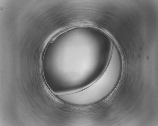 X0000054401246200507290823