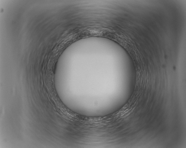 X0000054401249200507290823