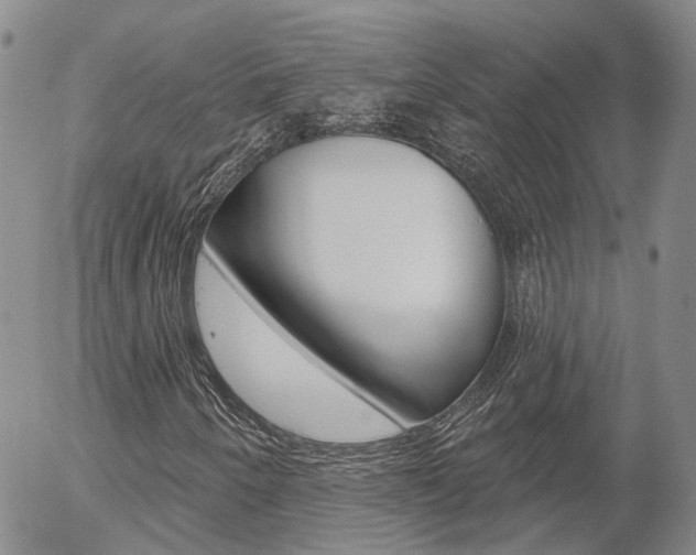 X0000054401250200507290823