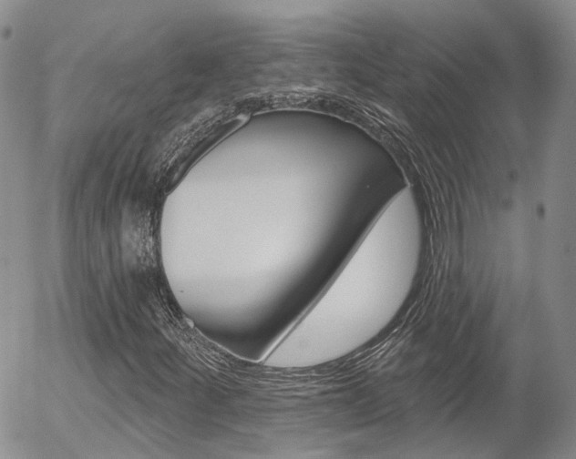 X0000054401252200507290823