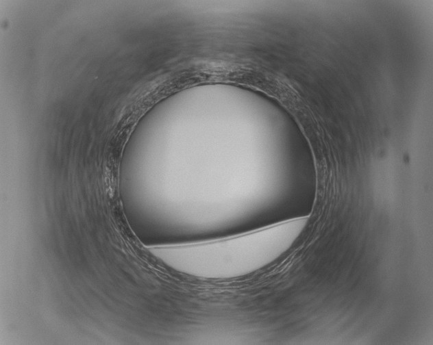 X0000054401253200507290823