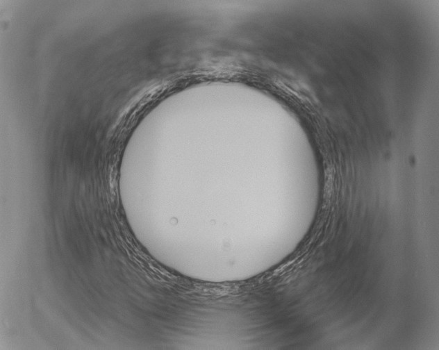 X0000054401254200507290823
