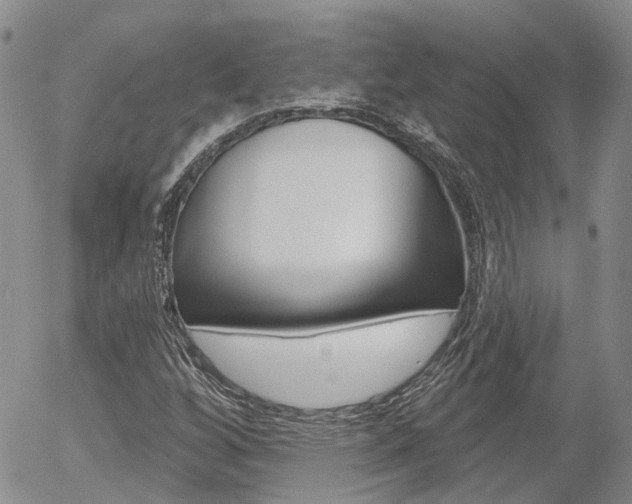X0000054401256200507290823