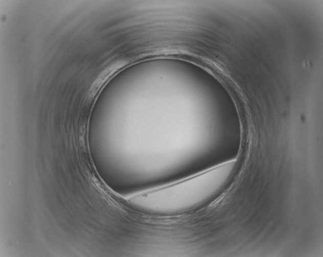X0000054401273200507290822