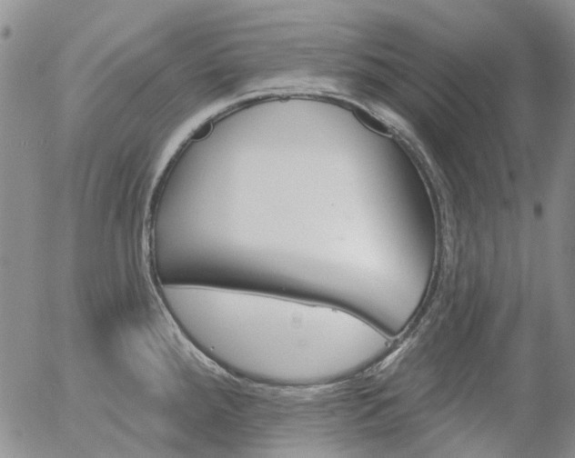 X0000054401288200507290822