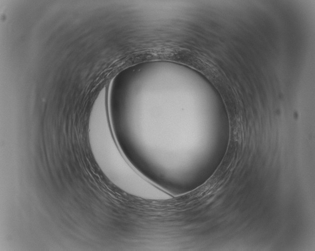 X0000054401298200507290821