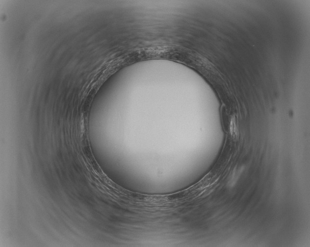 X0000054401299200507290821