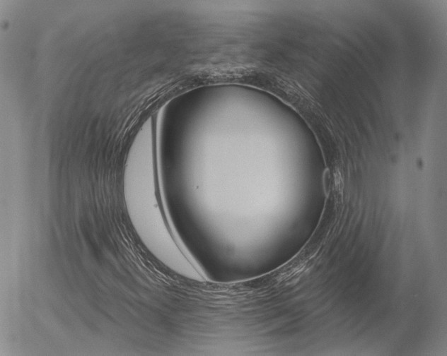 X0000054401300200507290821