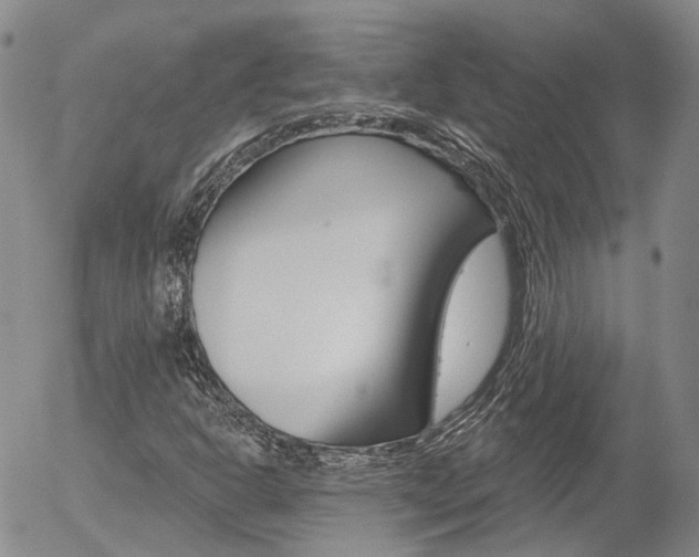 X0000054401302200507290821