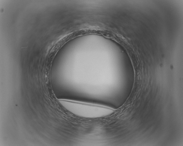 X0000054401303200507290821