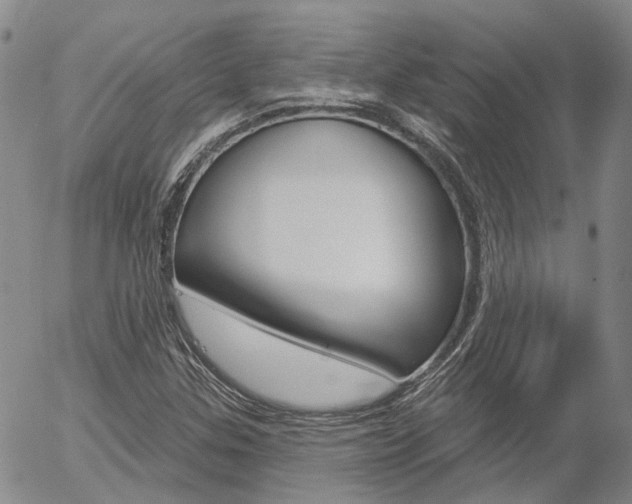 X0000054401307200507290821