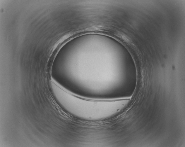 X0000054401308200507290821