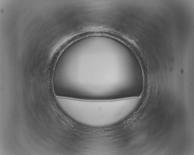 X0000054401311200507290821