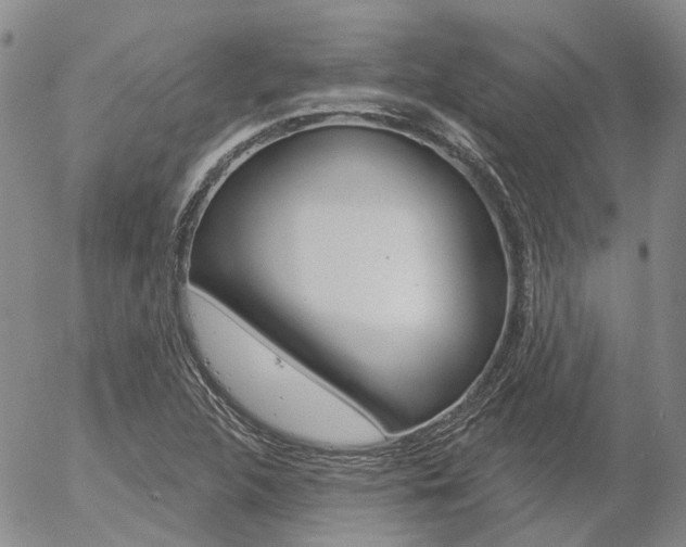X0000054401312200507290821