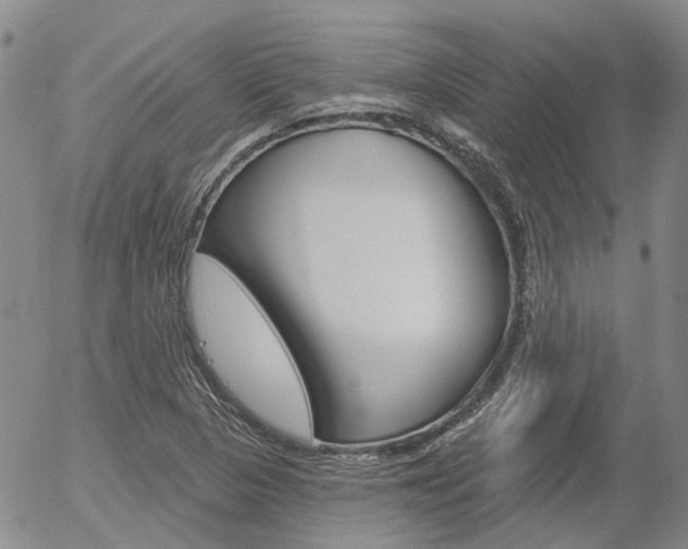 X0000054401313200507290821