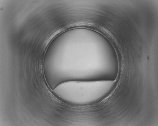X0000054401321200507290821