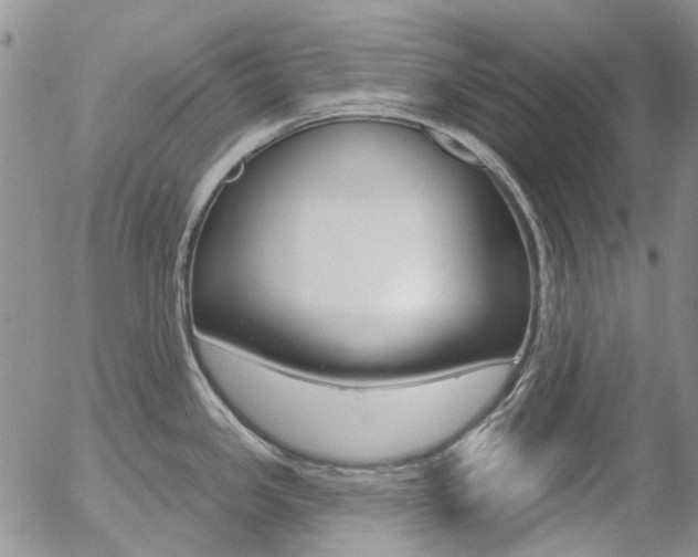 X0000054401341200507290822