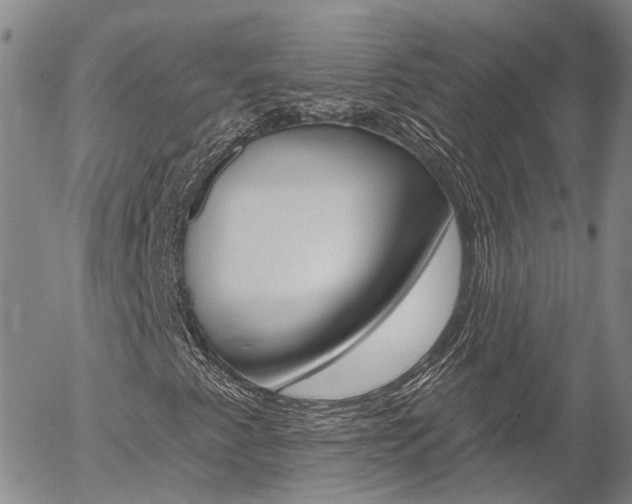 X0000054401345200507290821