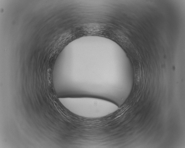 X0000054401346200507290821