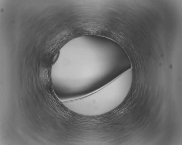 X0000054401347200507290821