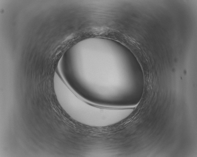 X0000054401349200507290821