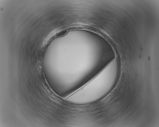 X0000054401355200507290821