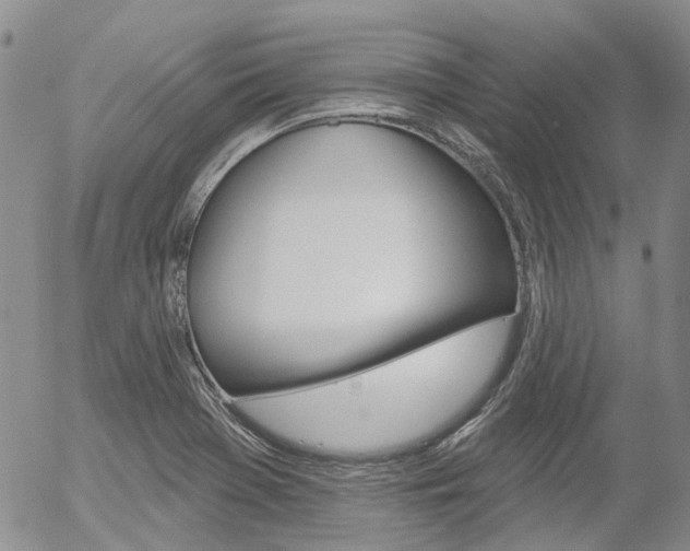 X0000054401369200507290821