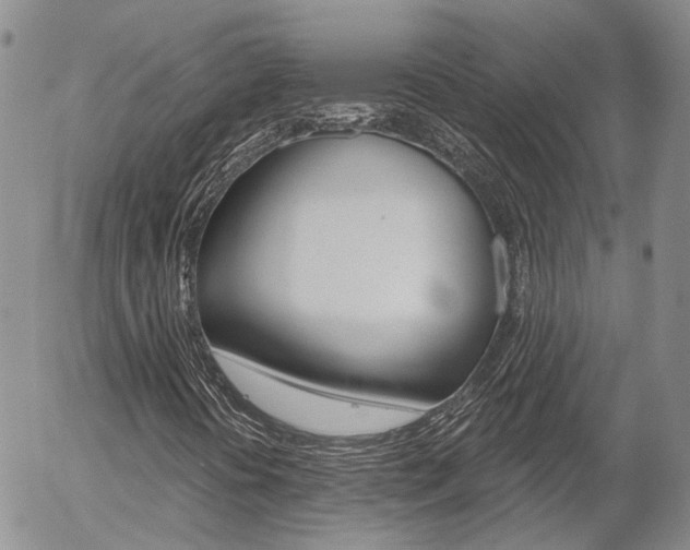 X0000054401394200507290819