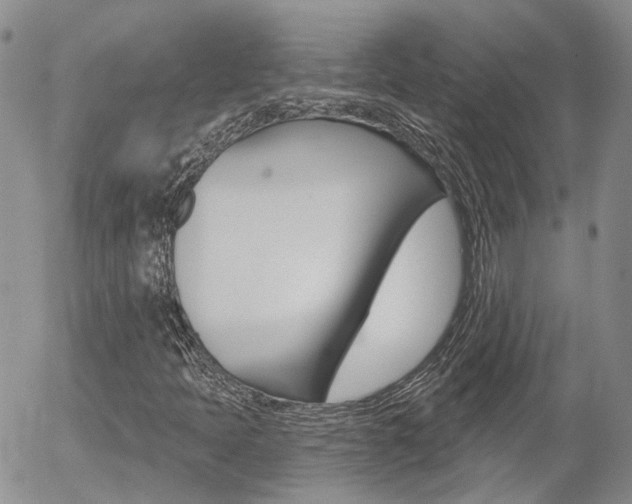 X0000054401397200507290820