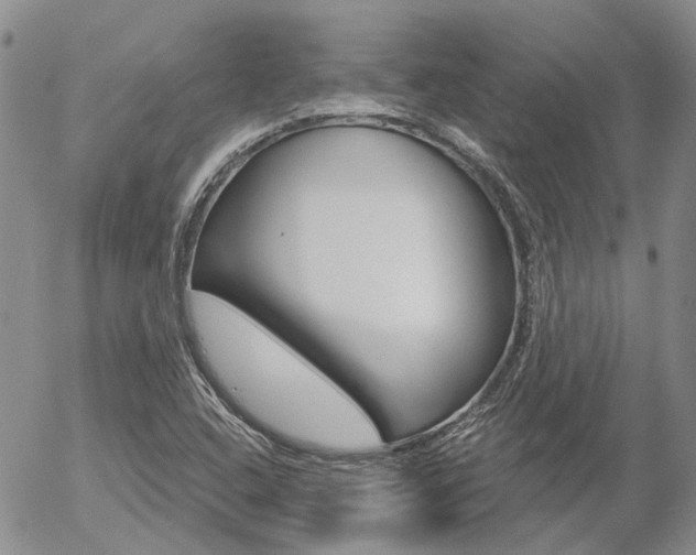 X0000054401408200507290820