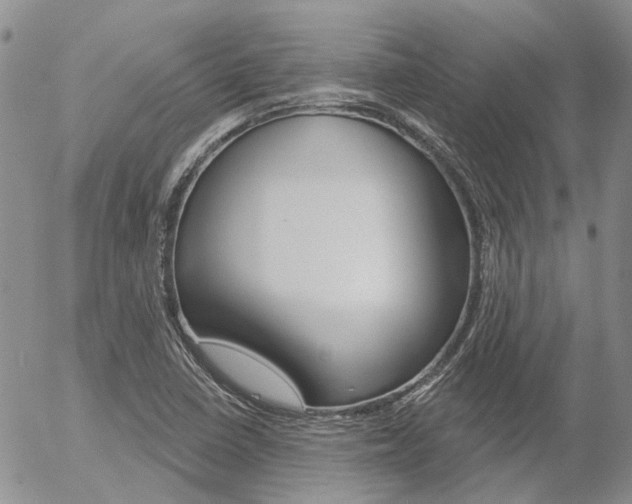 X0000054401410200507290820