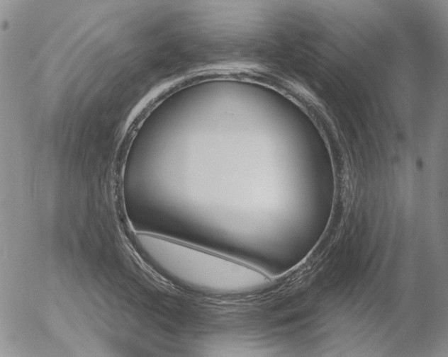 X0000054401412200507290820