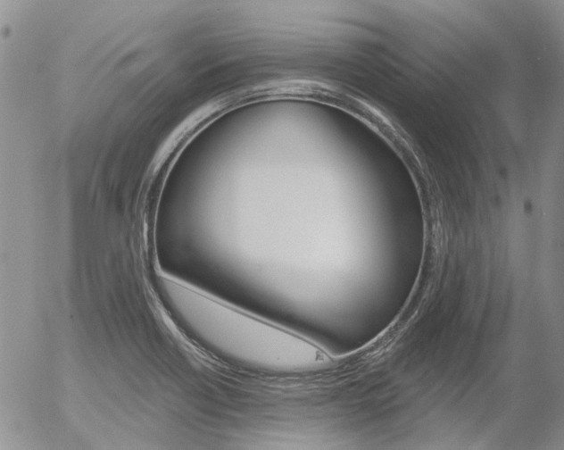 X0000054401418200507290820