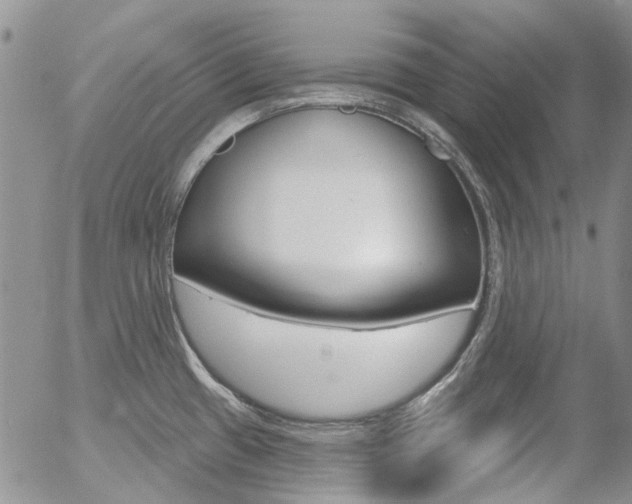 X0000054401433200507290820
