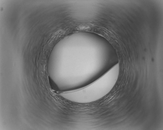 X0000054401441200507290819