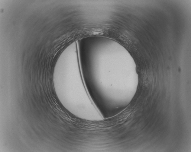 X0000054401442200507290819