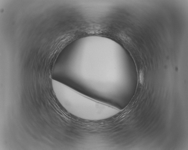 X0000054401444200507290819