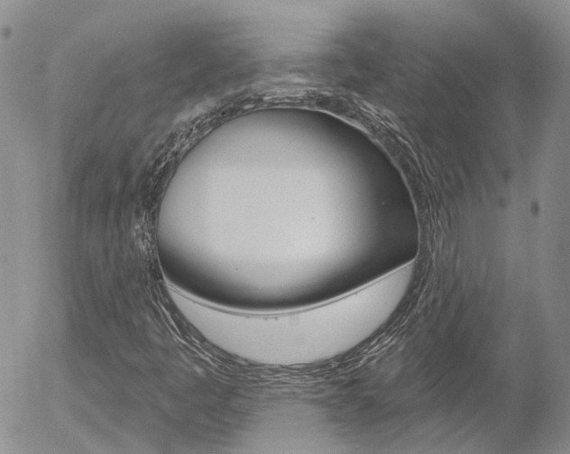 X0000054401445200507290819