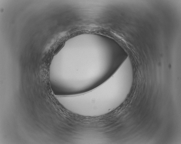 X0000054401447200507290819