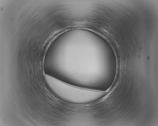 X0000054401449200507290819