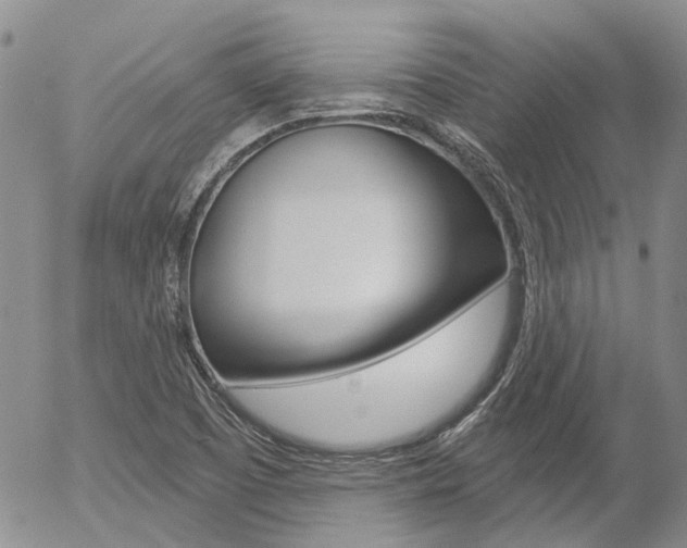 X0000054401457200507290819