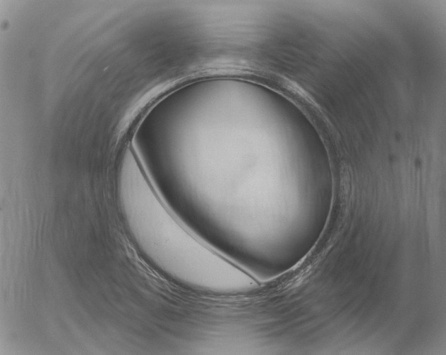 X0000054401461200507290819