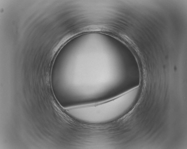X0000054401465200507290819