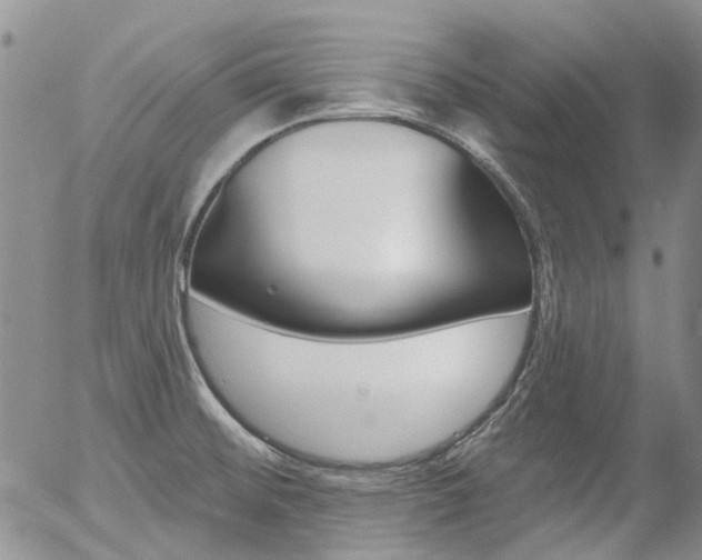 X0000054401476200507290819