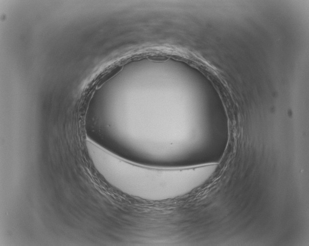 X0000054401496200507290818