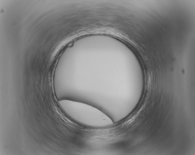 X0000054401498200507290818