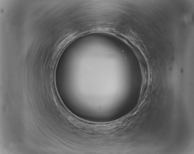 X0000054400001200507291129
