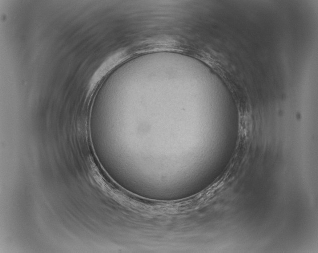 X0000054400004200507291129
