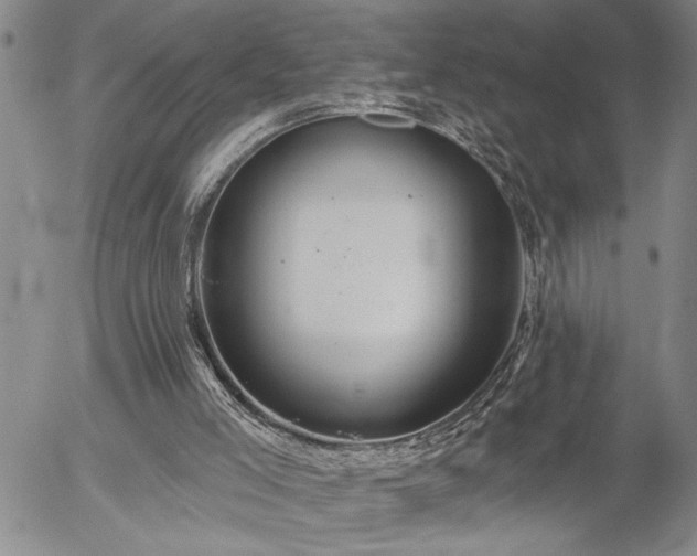 X0000054400005200507291129