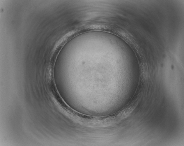 X0000054400016200507291129